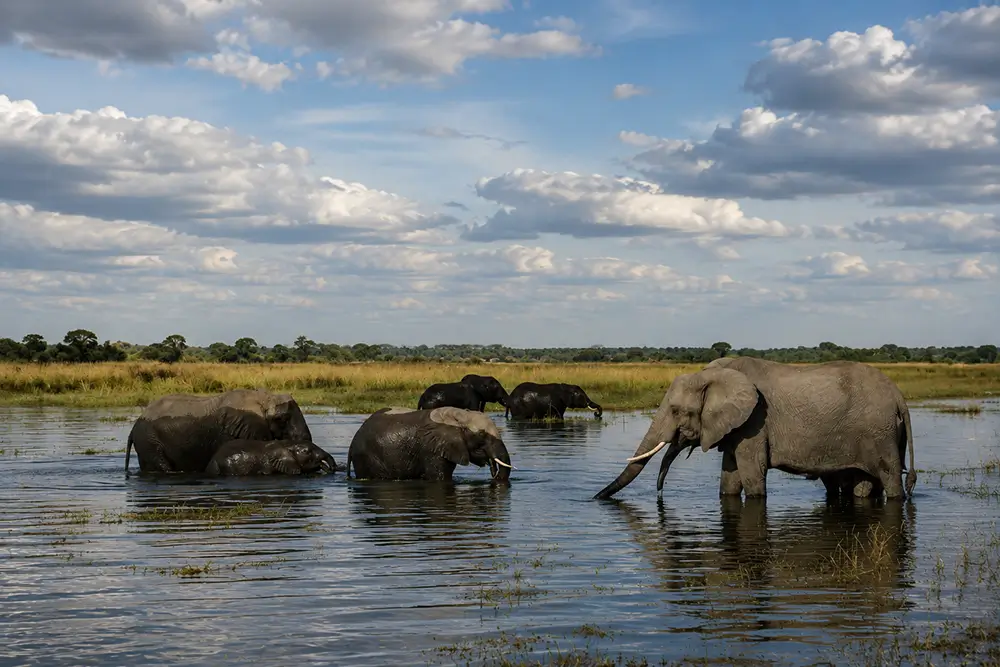 Chobe National Park