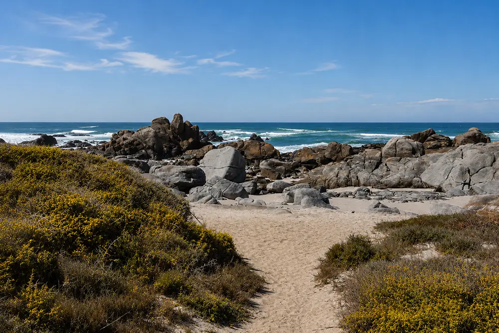 West Coast National Park