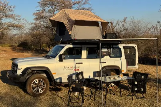 safari group b
